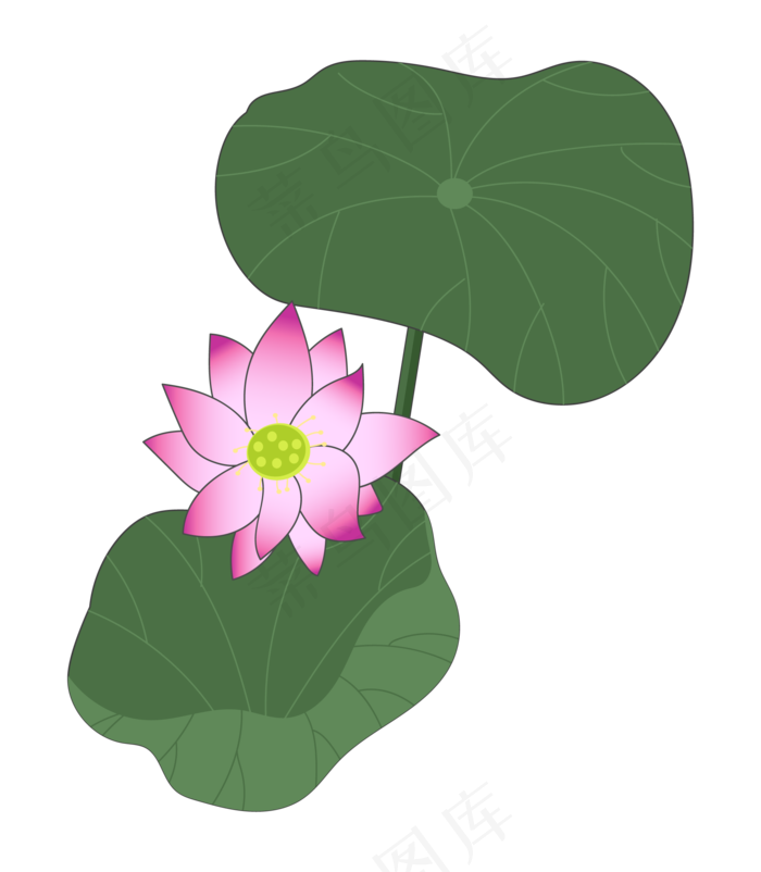 俯视美丽荷花(2000X2290)