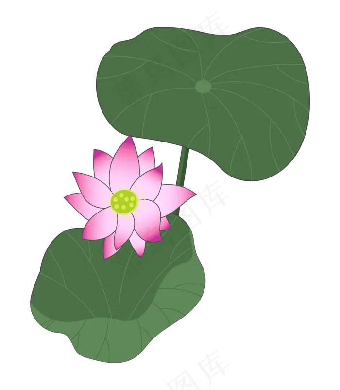 俯视美丽荷花(2000X2290)