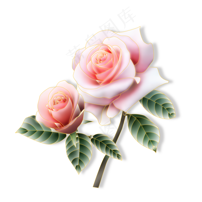 一对粉红色的鲜花(4724X4724(DPI:300))psd模版下载