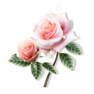 一对粉红色的鲜花