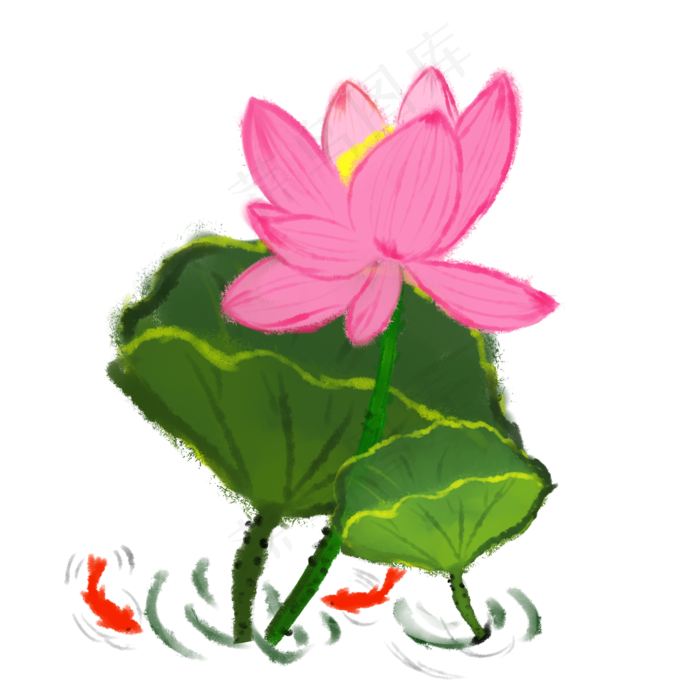 夏季盛开的荷花与鱼装饰PNG