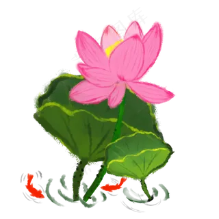 夏季盛开的荷花与鱼装饰PNG