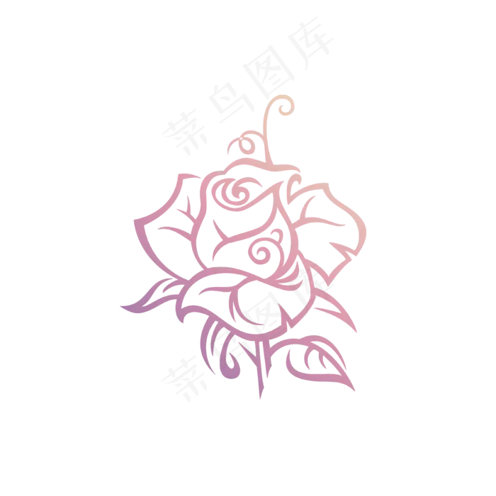 粉色玫瑰自然元素(2000X2000(DPI:300))psd模版下载