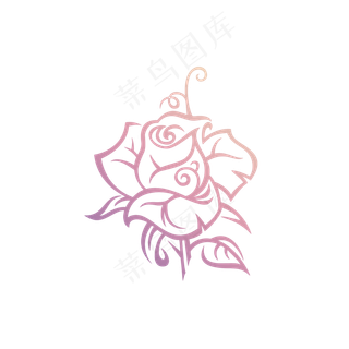 粉色玫瑰自然元素