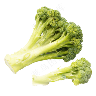 有机蔬菜西蓝花