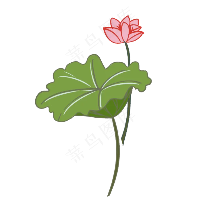 红色荷花装饰插图(2000X2000(DPI:300))psd模版下载