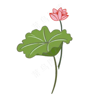 红色荷花装饰插图