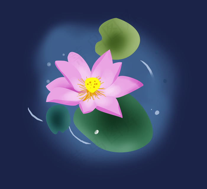 夏至手绘淡粉色荷花