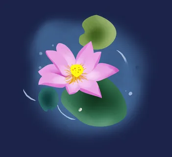 夏至手绘淡粉色荷花