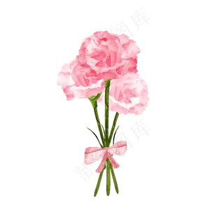 母亲节红色康乃馨花朵