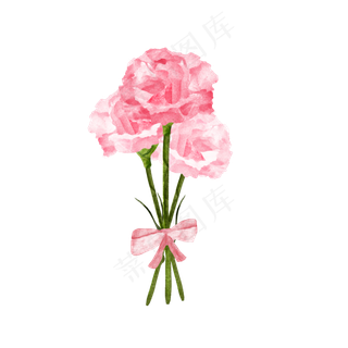 母亲节红色康乃馨花朵