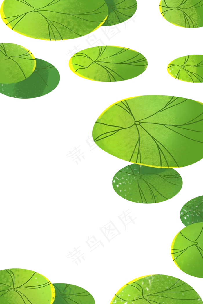 荷叶植物(1000X1499(DPI:300))psd模版下载