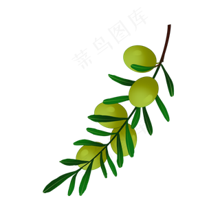 绿色和平橄榄枝