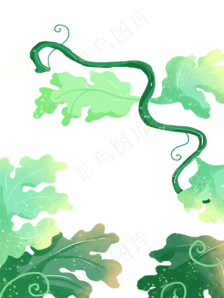 绿色的西瓜叶子