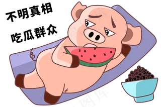 手绘网络用语猪猪