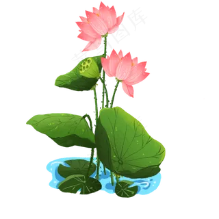 池塘的荷花和莲蓬免抠元素