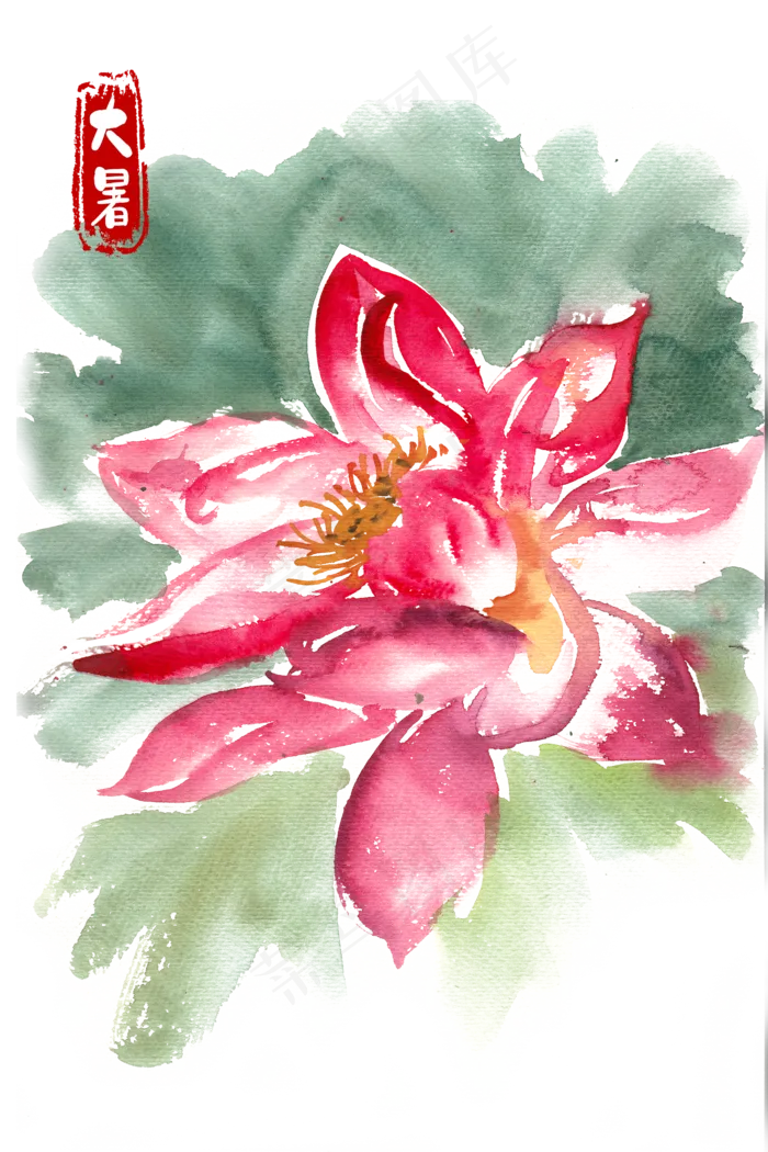 大暑盛开的荷花(4000X6001(DPI:300))psd模版下载
