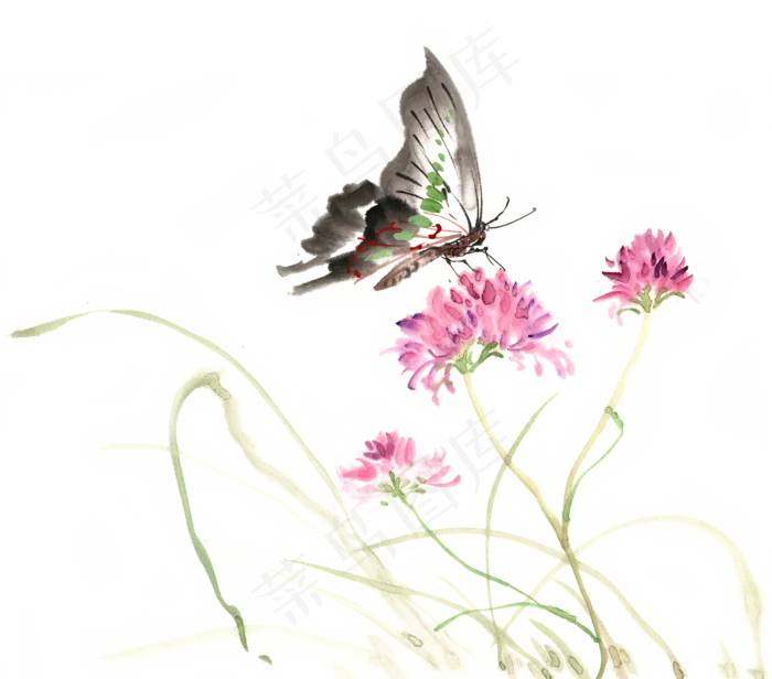 粉色花与黑蝴蝶