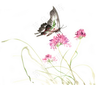 粉色花与黑蝴蝶