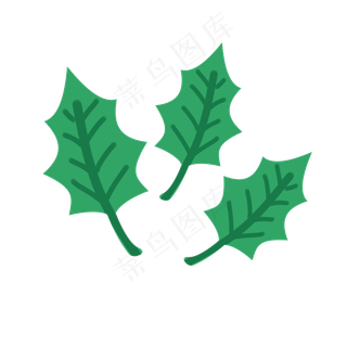 薄荷叶子矢量素材