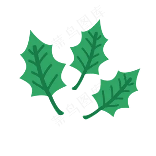 薄荷叶子矢量素材