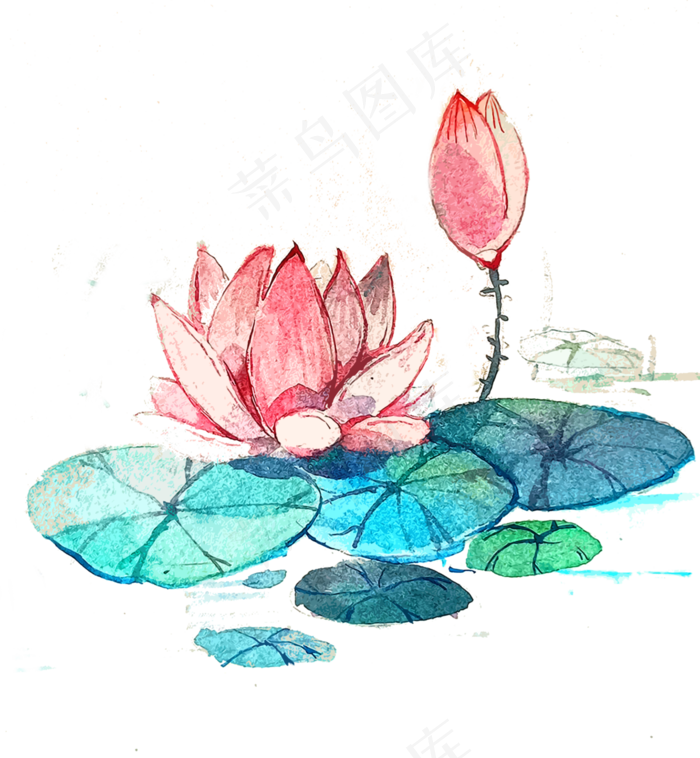荷花莲花水彩PNG唯美夏天池塘