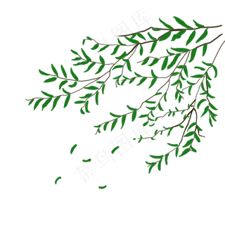 清明节柳树免扣设计素材,免抠元素