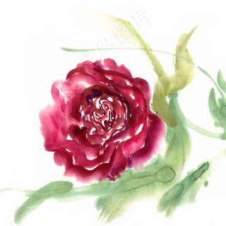 水墨画鲜艳的玫瑰花