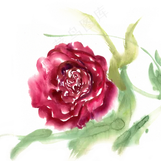 水墨画鲜艳的玫瑰花 水墨画鲜艳的玫瑰花