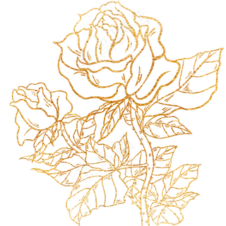 金粉烫金玫瑰花图案,免抠元素