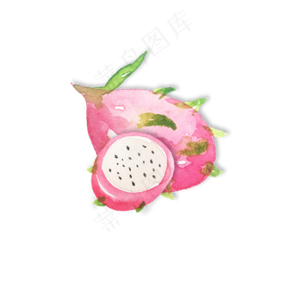 手绘水果之火龙果