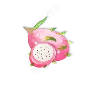 手绘水果之火龙果