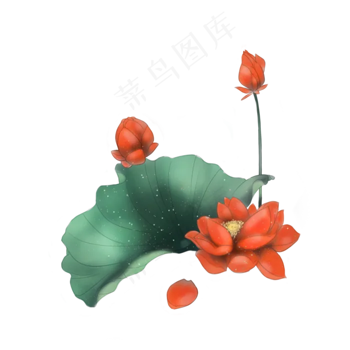 中国风红色荷花绿色荷叶(2000X2000(DPI:300))psd模版下载