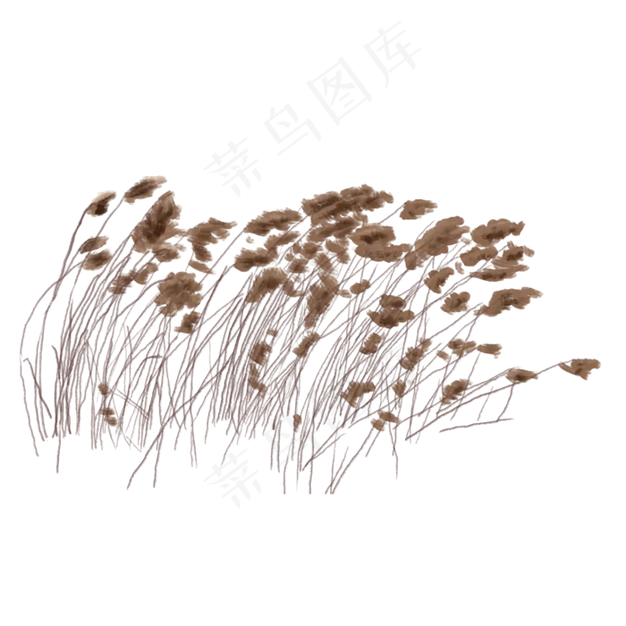 手绘水彩清新白露节水边芦苇PNG元,免抠元素(2000*2000px 300 dpi )psd模版下载