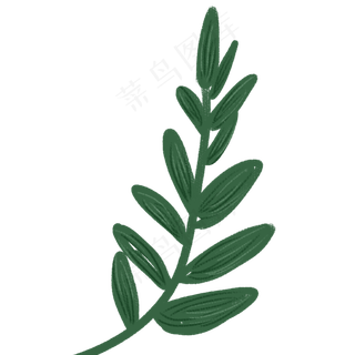 树叶春季自然植物