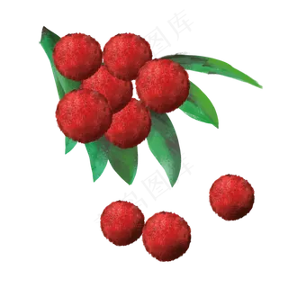 杨梅水果素材