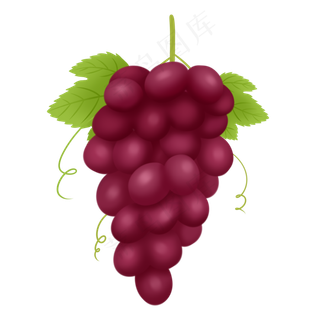 一串紫色葡萄