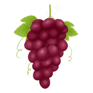 一串紫色葡萄