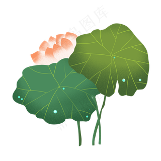 两片荷叶单支粉色荷花装饰图案