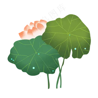 两片荷叶单支粉色荷花装饰图案