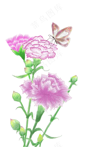 母亲节康乃馨手绘花朵蝴蝶元素