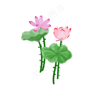 免扣荷花荷叶PNG