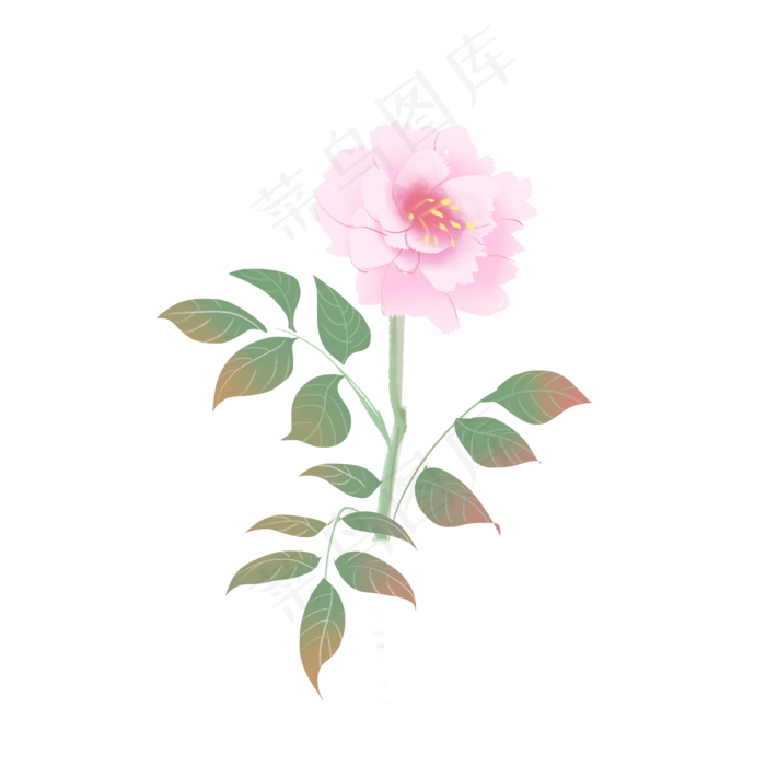 一支玫瑰