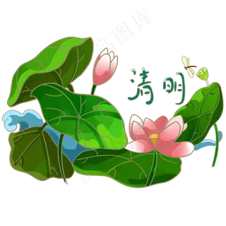 清明节绿色清新荷花与蜻蜓PNG