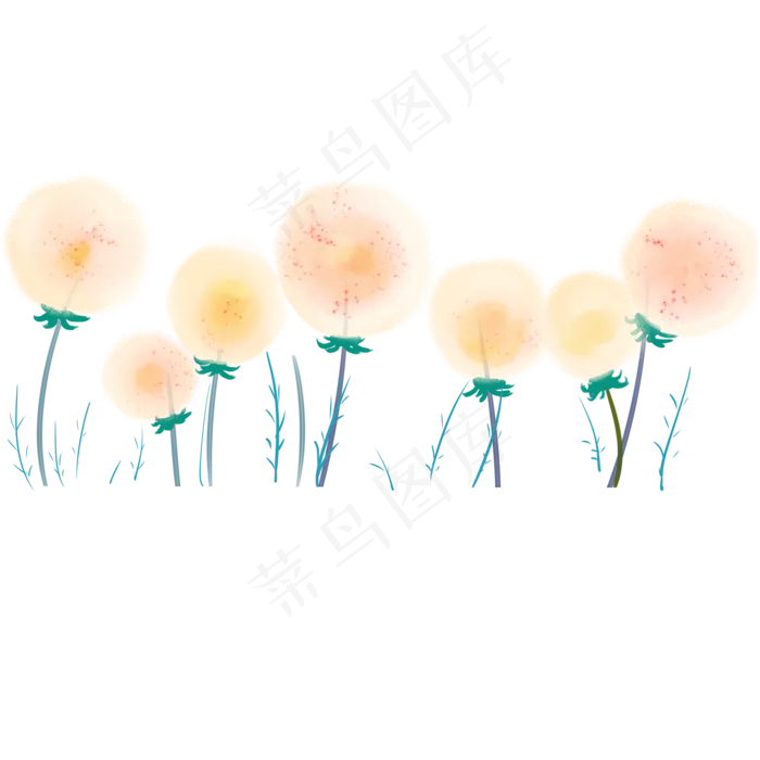 手绘水彩蒲公英植物(2000X2000(DPI:300))psd模版下载