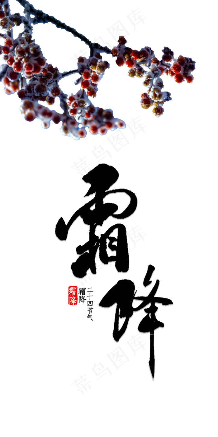 霜降霜冻果实,免抠元素(2000X4000(DPI:300))psd模版下载
