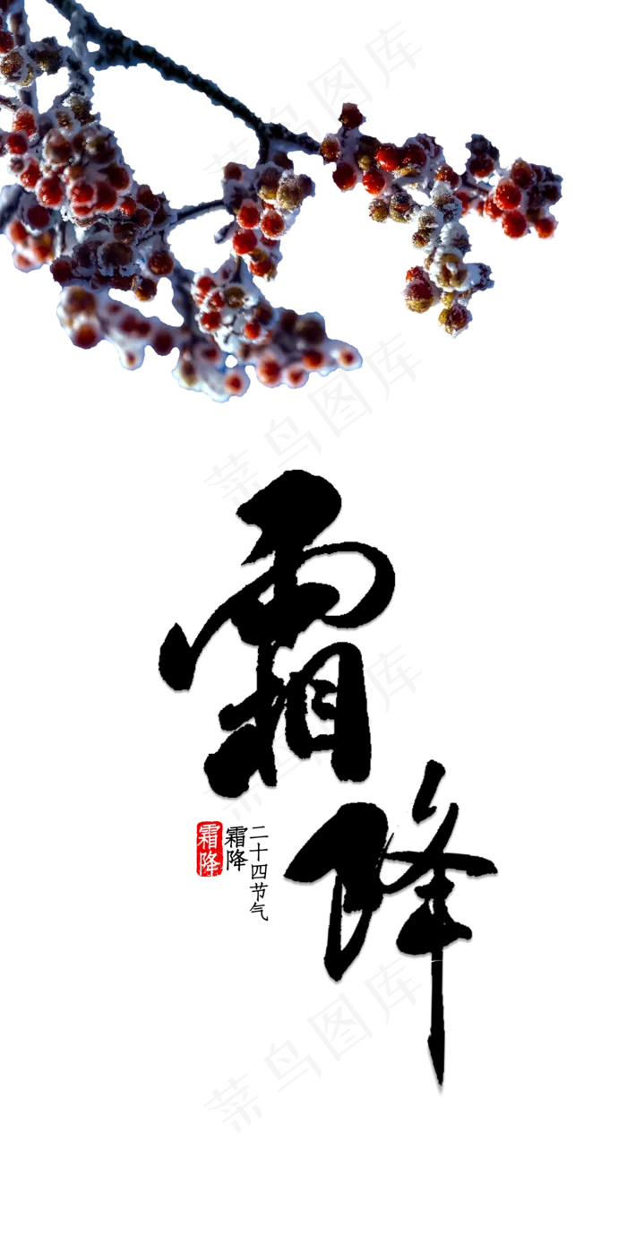 霜降霜冻果实,免抠元素(2000X4000(DPI:300))psd模版下载