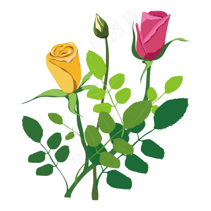 美丽花朵玫瑰(2000X3203(DPI:300))ai矢量模版下载