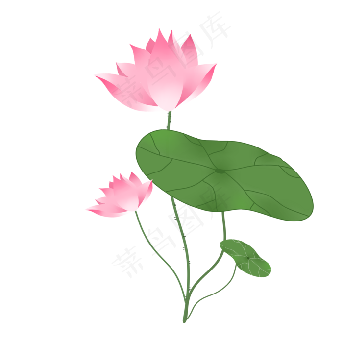 荷叶荷花(2000X2000(DPI:300))psd模版下载