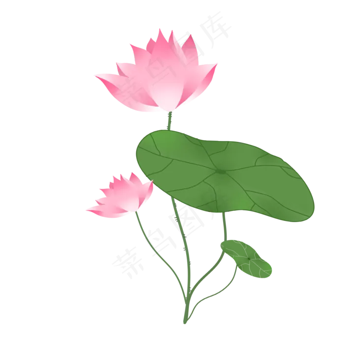 荷叶荷花(2000X2000(DPI:300))psd模版下载